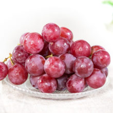 fresh red globe grapes for sale red globe grapes size